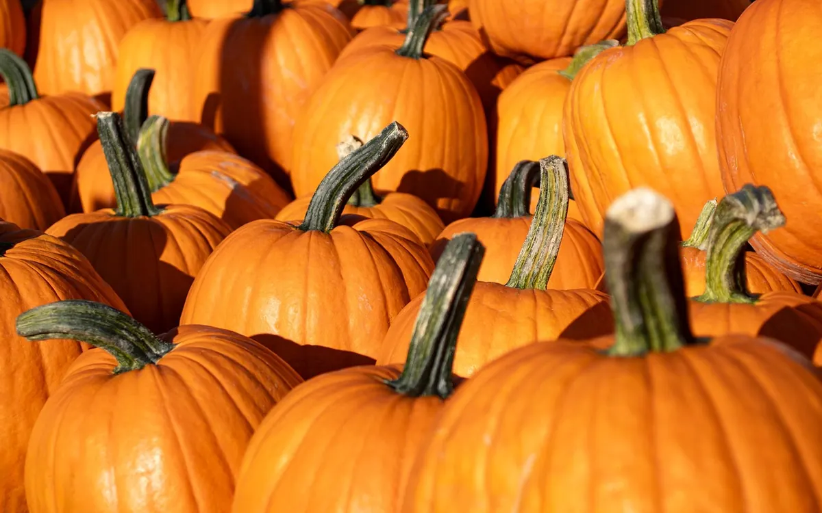 How to Eat Seasonally at Local Restaurants: A Month-by-Month Guide